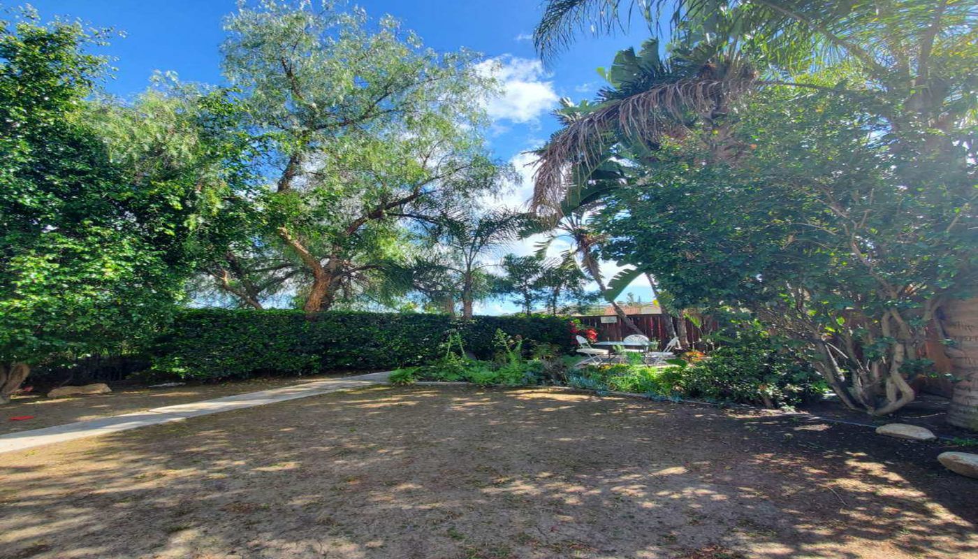 AMFM Mental Health Treatment