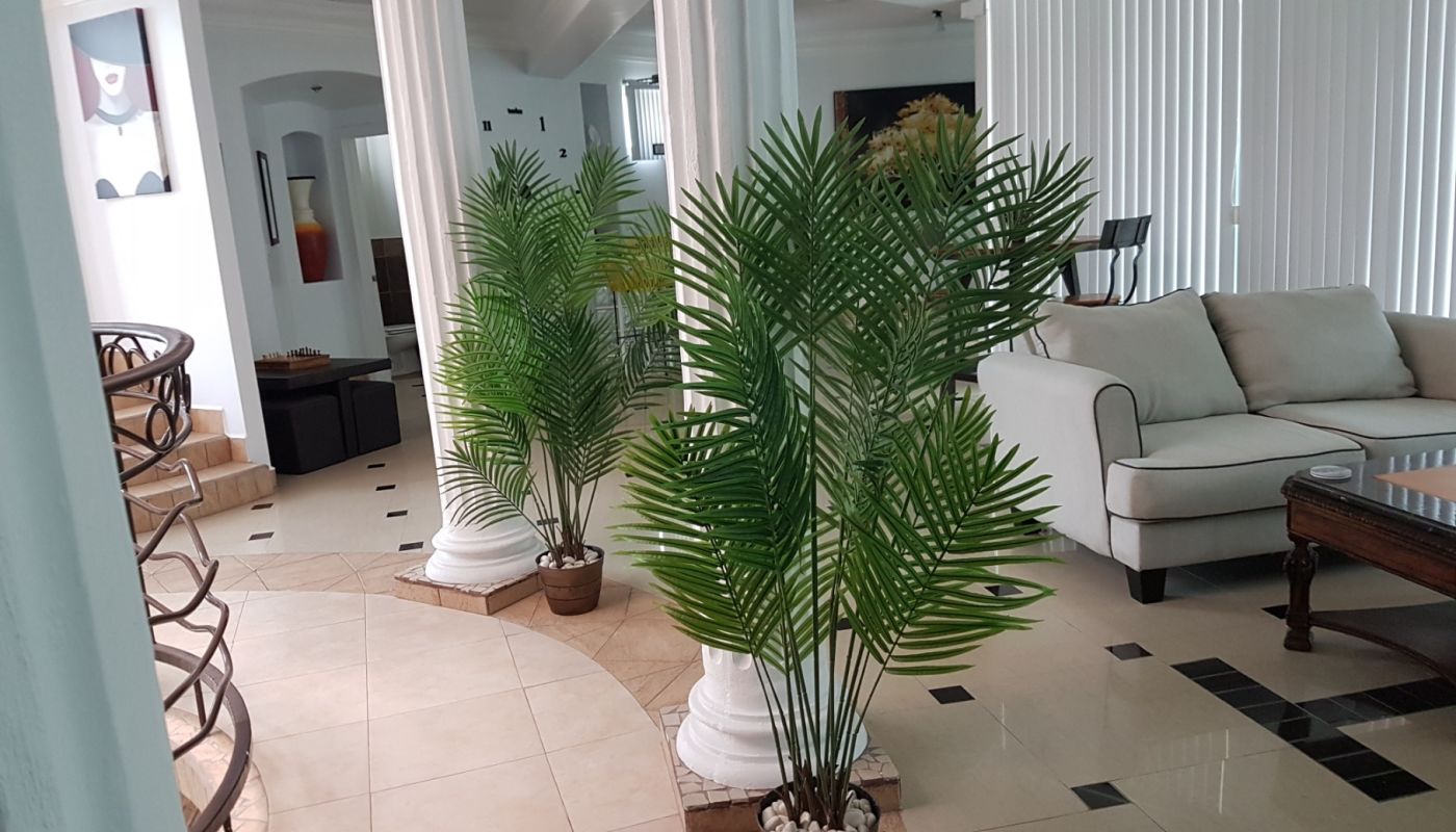 Baja Ibogaine Center