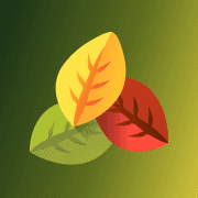 Bridge Healing Center