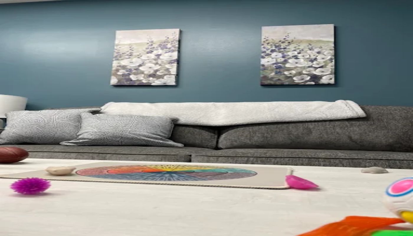 Ellie Mental Health Bannockburn Illinois