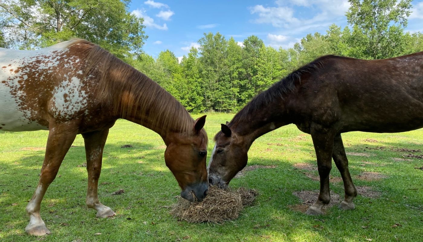Front Porch Recovery for Men