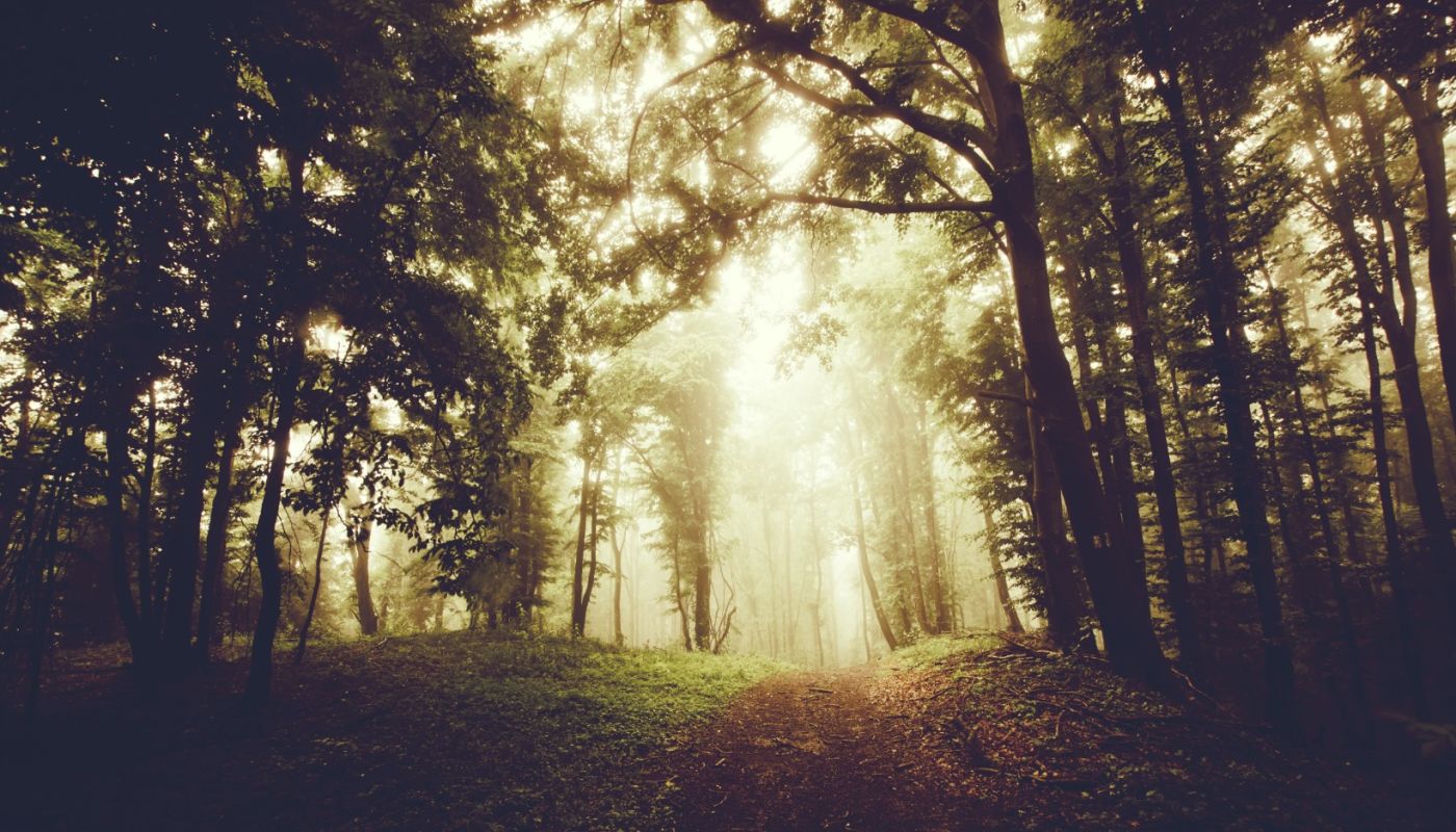 Retreat at Sky Ridge