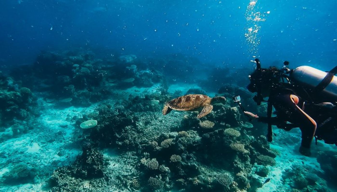 Twilight Recovery Center